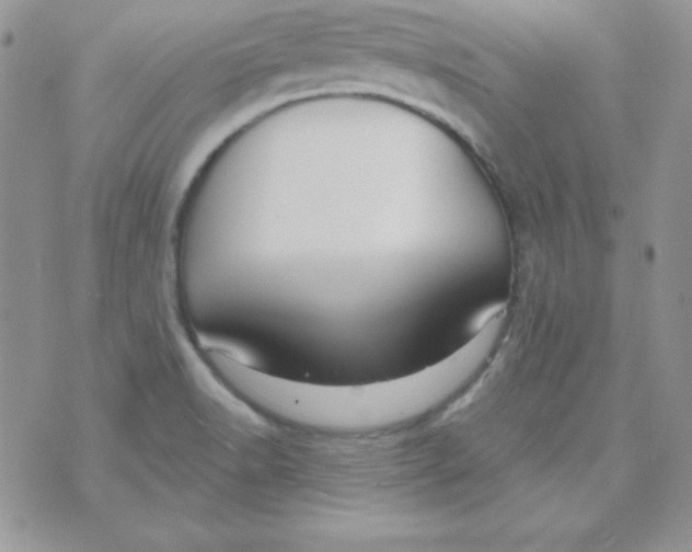 X0000070241518200606231930