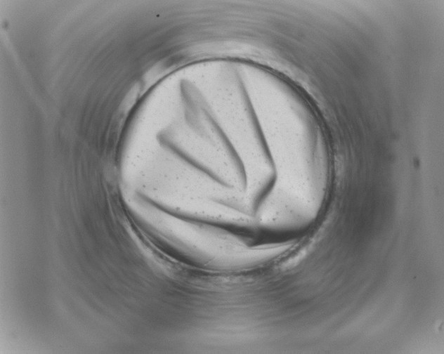 X0000070241521200606231930