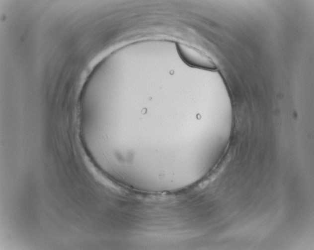 X0000070241526200606231930