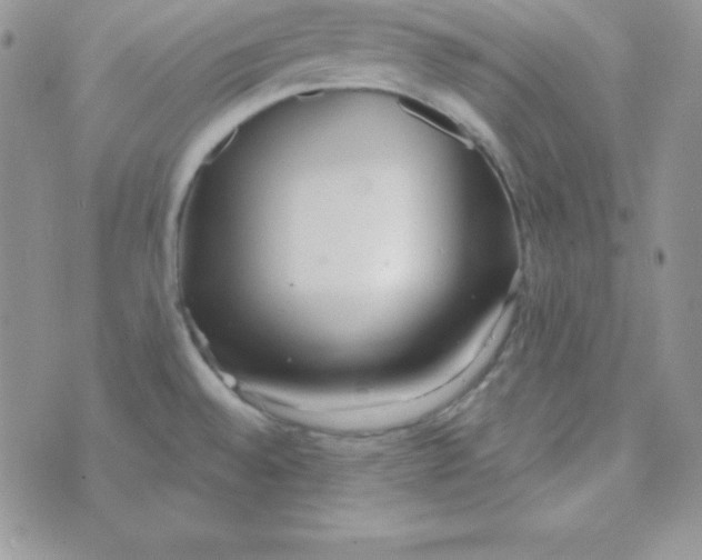 X0000070241528200606231930