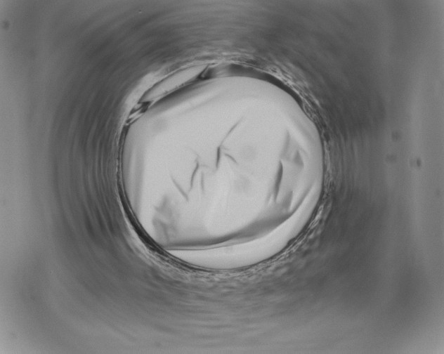 X0000070240003200606301612