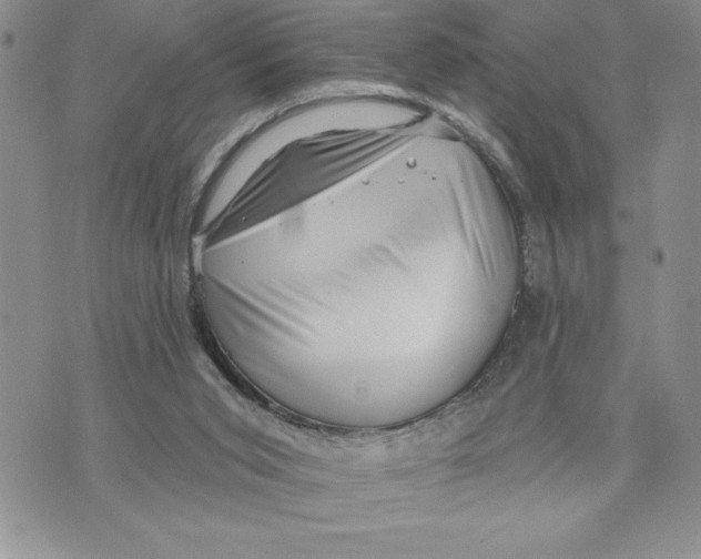 X0000070240015200606301612