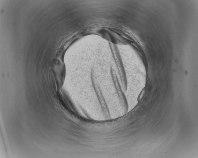 X0000070240017200606301612