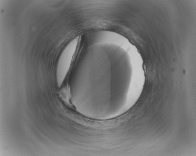 X0000070240027200606301612