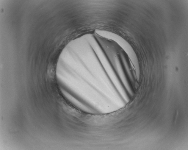 X0000070240037200606301612