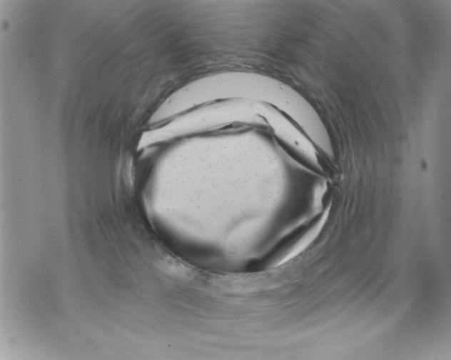 X0000070240041200606301612