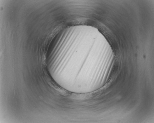 X0000070240045200606301612