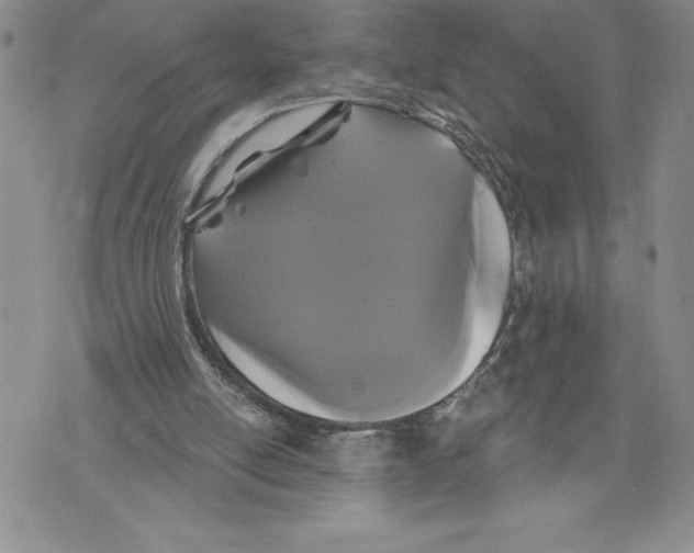X0000070240054200606301611