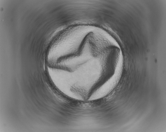 X0000070240062200606301611