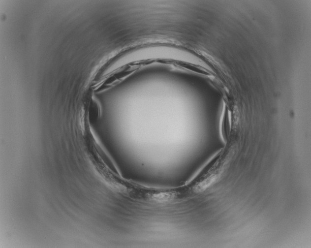 X0000070240064200606301611