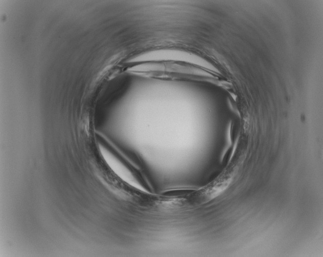 X0000070240072200606301611