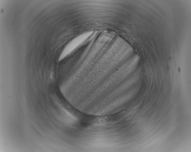 X0000070240080200606301611
