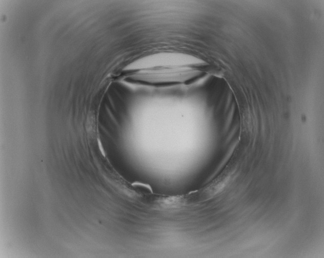 X0000070240092200606301612