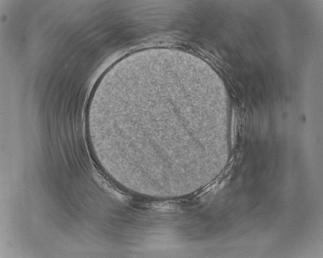 X0000070240100200606301611