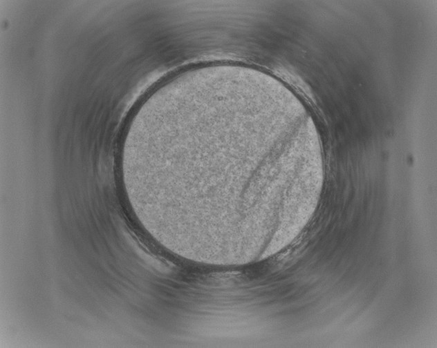 X0000070240108200606301611