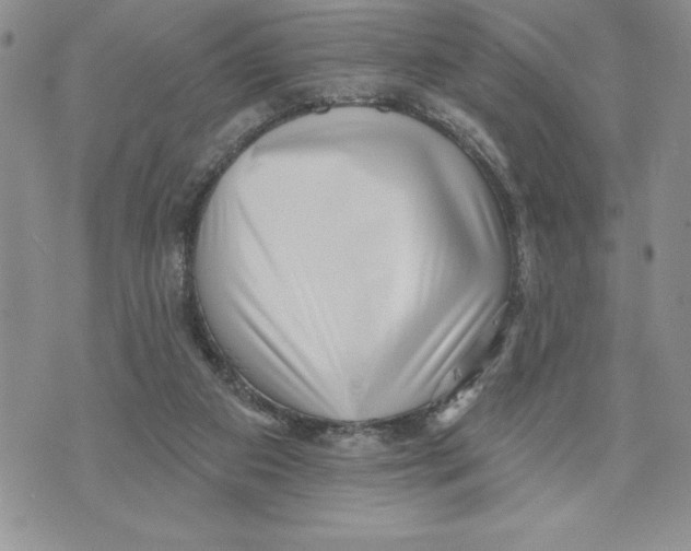 X0000070240113200606301611