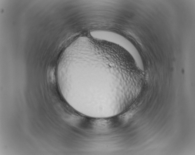 X0000070240123200606301610