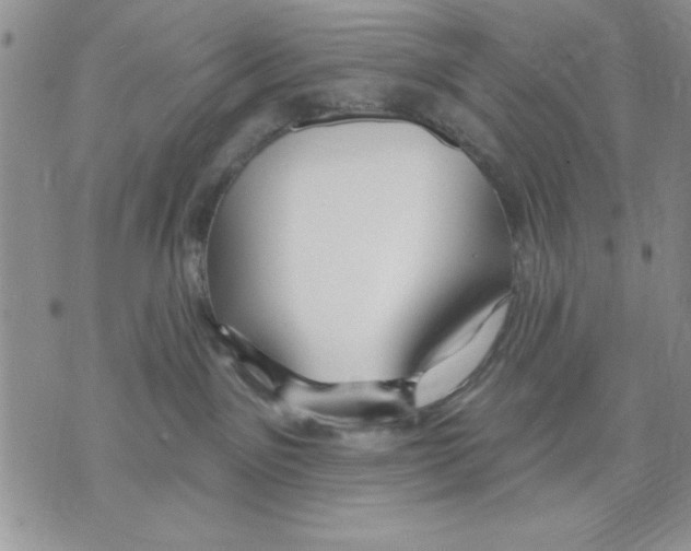 X0000070240141200606301610