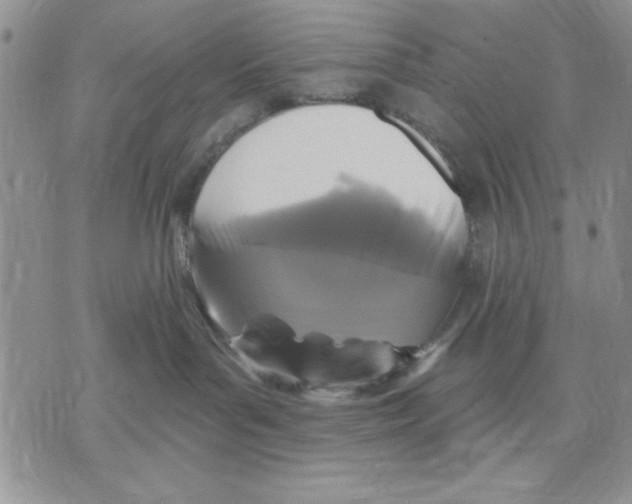 X0000070240143200606301610