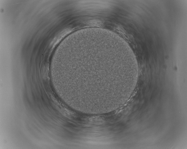 X0000070240146200606301609