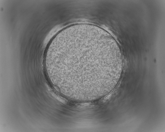 X0000070240151200606301609