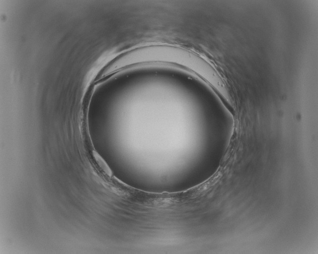 X0000070240152200606301609