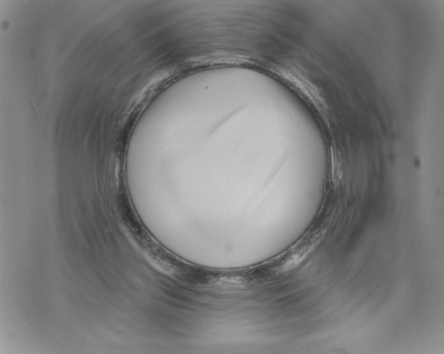 X0000070240157200606301609