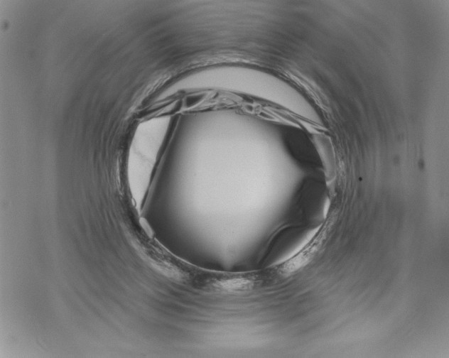 X0000070240158200606301609
