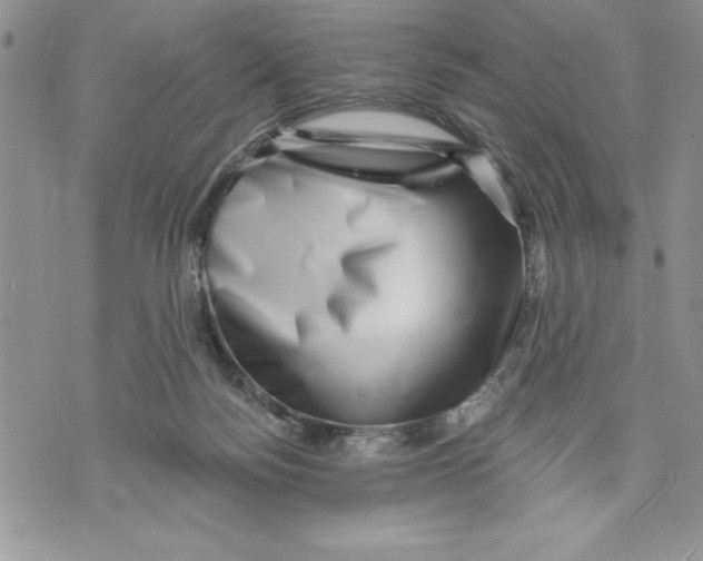X0000070240172200606301610