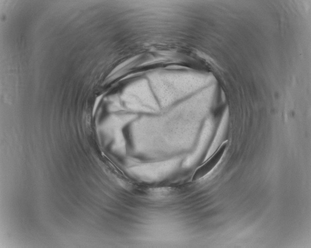 X0000070240192200606301610