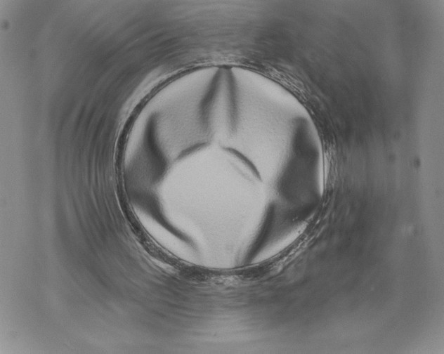 X0000070240195200606301609