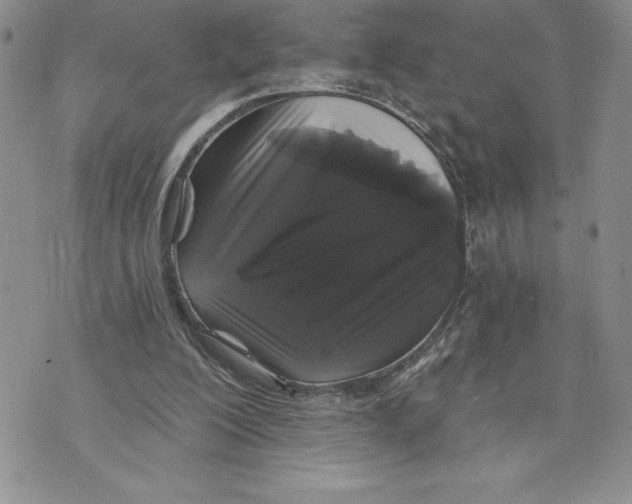 X0000070240200200606301609