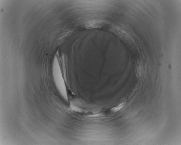 X0000070240219200606301609