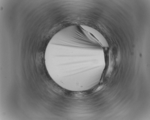 X0000070240229200606301609
