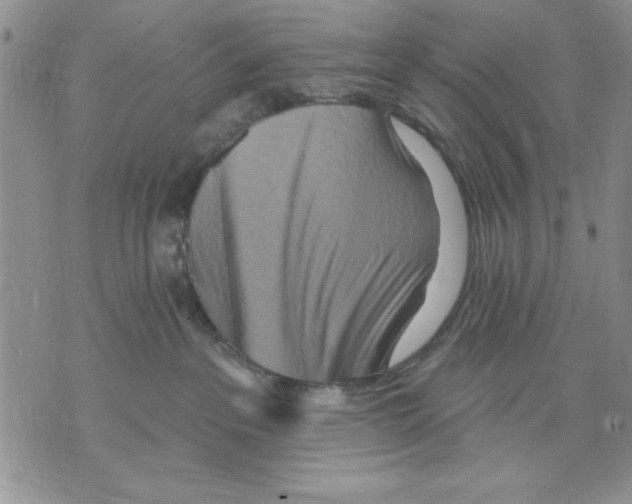 X0000070240237200606301609