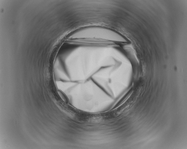 X0000070240252200606301608