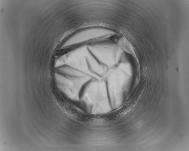 X0000070240256200606301608