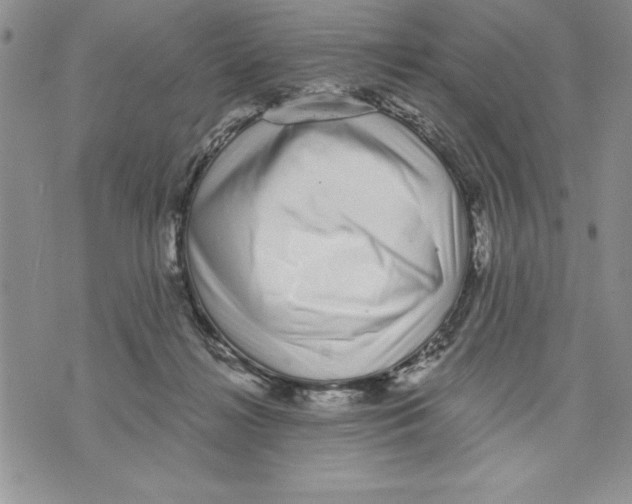 X0000070240268200606301608