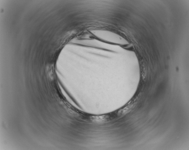 X0000070240273200606301608