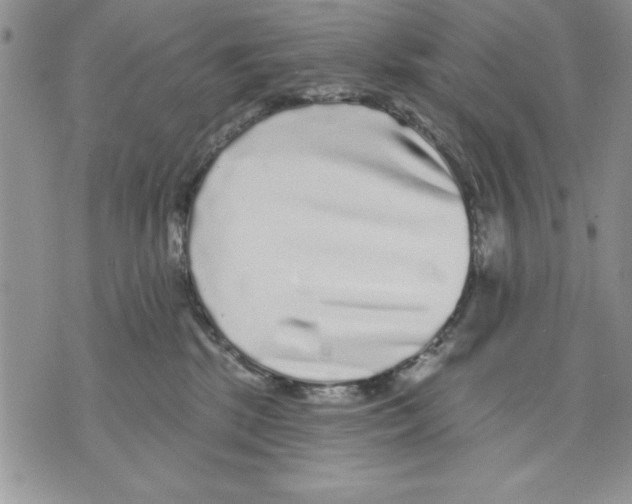 X0000070240281200606301608