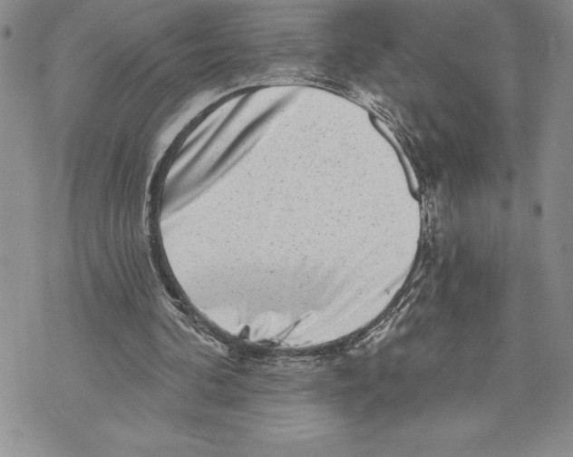 X0000070240292200606301608