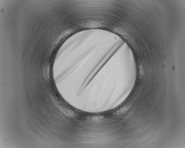 X0000070240304200606301607