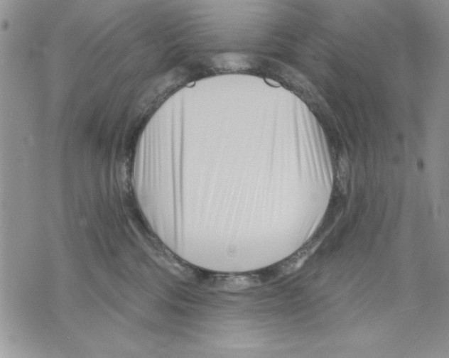 X0000070240330200606301607