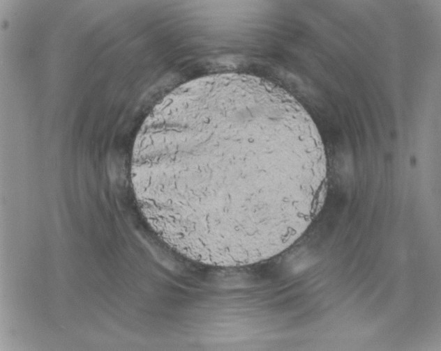 X0000070240331200606301607