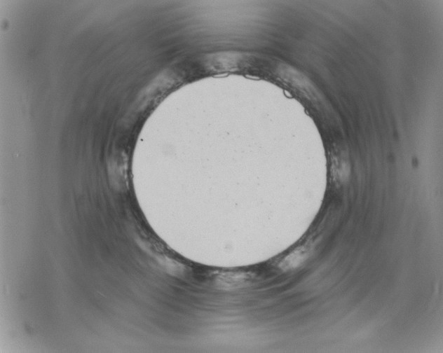 X0000070240332200606301607