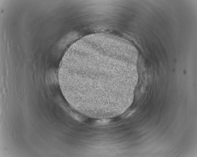 X0000070240335200606301607