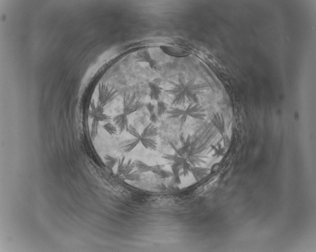 X0000070240343200606301606