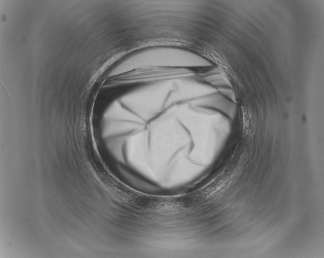 X0000070240348200606301606