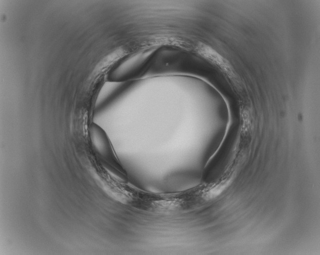 X0000070240356200606301606