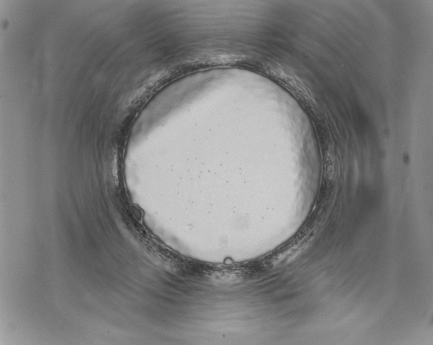 X0000070240358200606301606